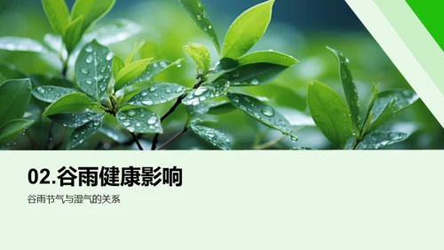 谷雨季节的健康指南