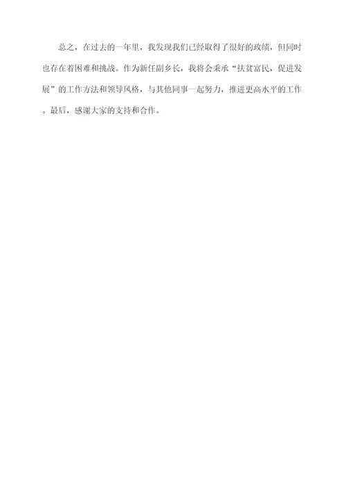 新任副乡长述职述廉报告