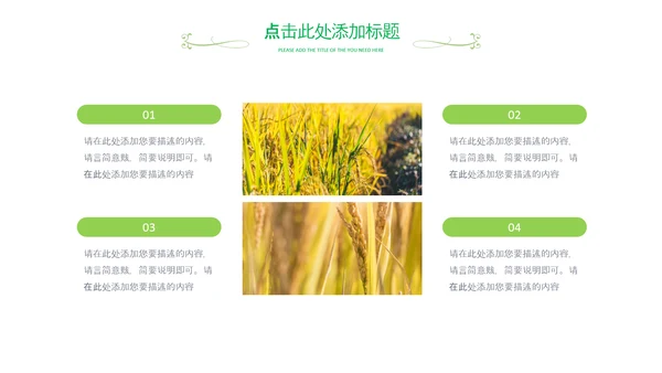 乡村振兴新农村旅游稻田水稻农业丰收PPT