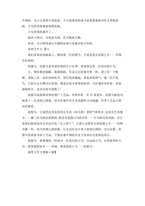 说明文作文锦集6篇.docx