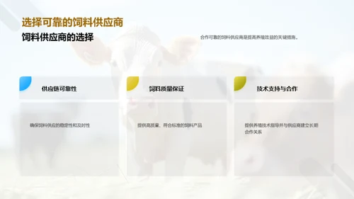高效养殖盈利之道