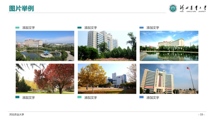 河北农业大学专属学术汇报毕业答辩通用PPT模板