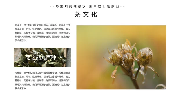 中国传统茶文化茶艺宣传PPT模板