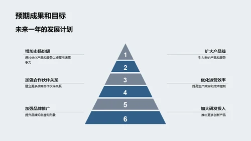 年度业务回顾与展望