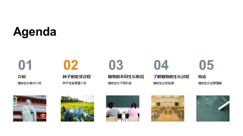 揭秘植物生长奇观