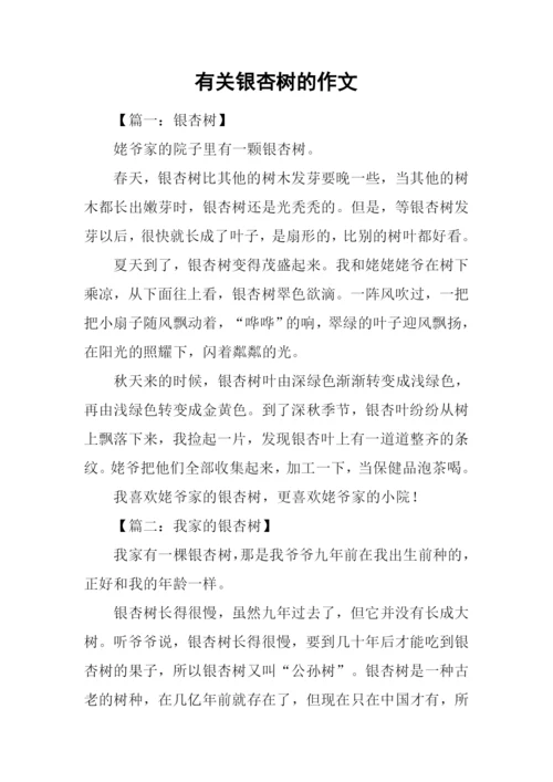 有关银杏树的作文.docx