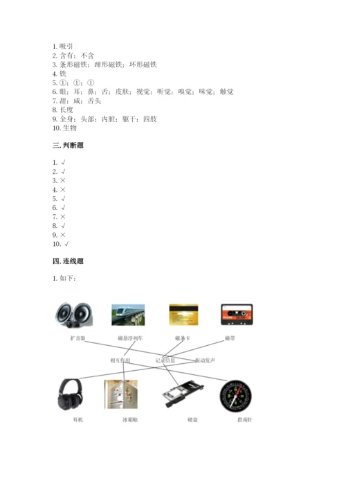 教科版小学科学二年级下册 期末测试卷最新.docx