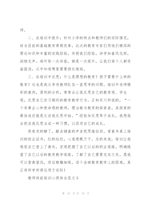 教师岗前培训心得体会范文.docx