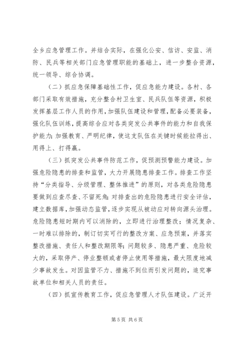 乡镇年度应急管理自查工作自查总结.docx