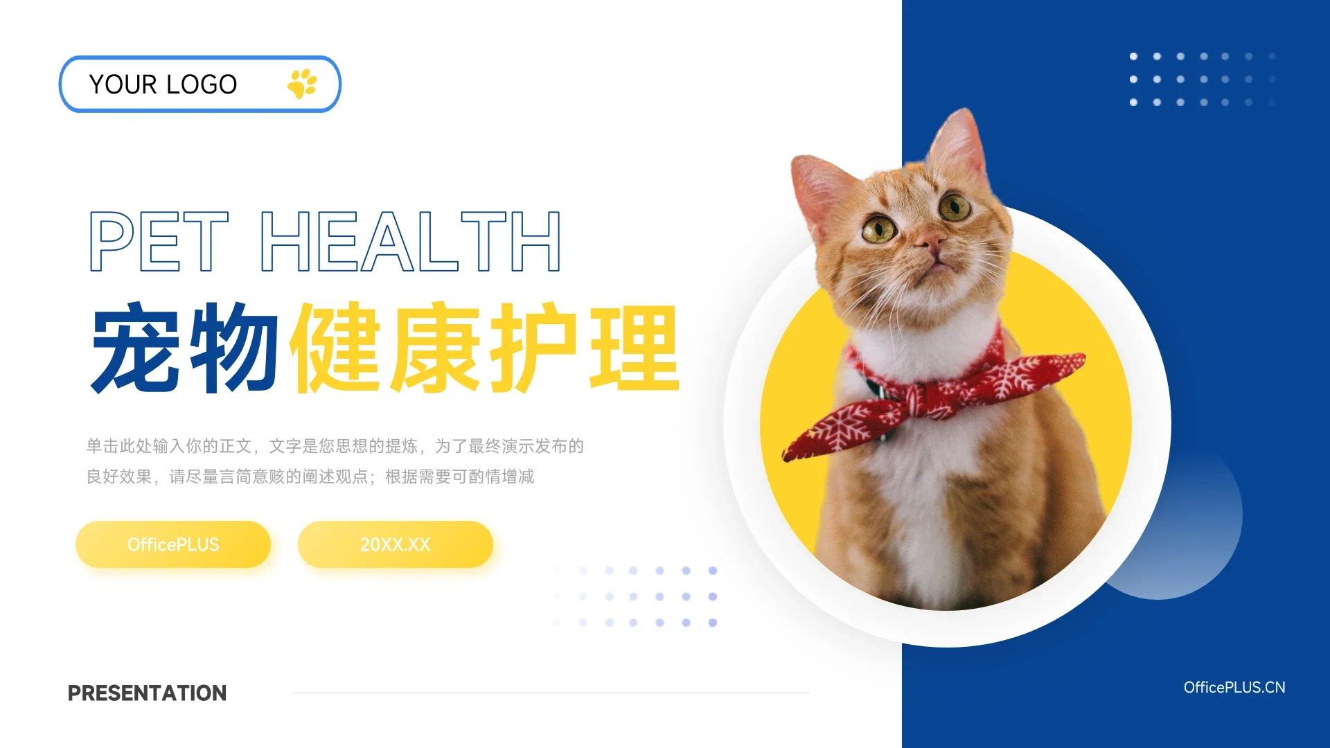 黄蓝剪影简约大气宠物健康护理PPT模板