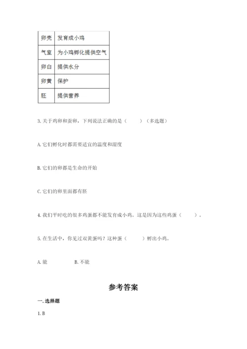 教科版小学科学三年级下册 期末测试卷精品【有一套】.docx