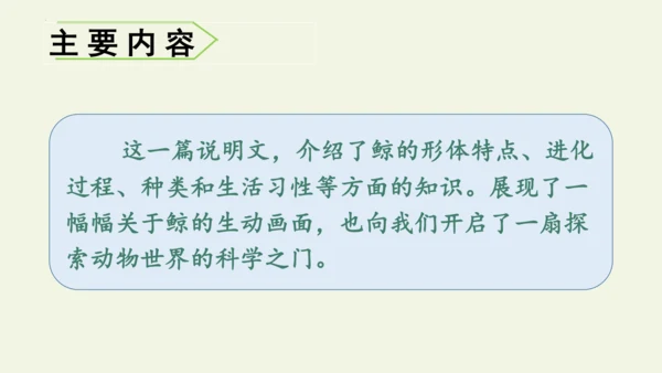 部编版 五年级语文上册第五单元习作例文 《鲸》（课件）