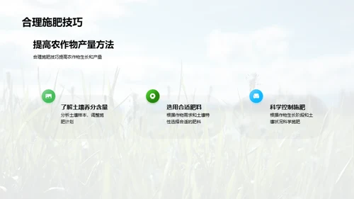 稻田科学种植