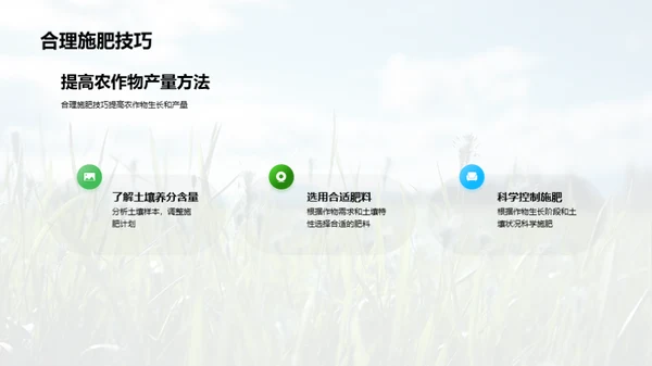 稻田科学种植