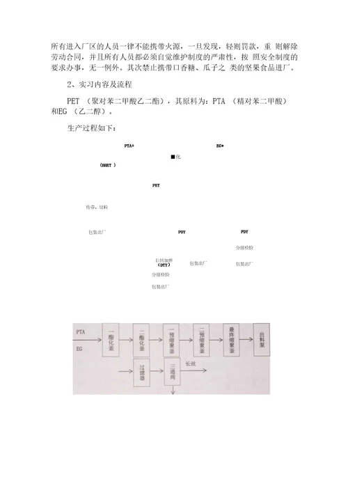 化纤实习报告