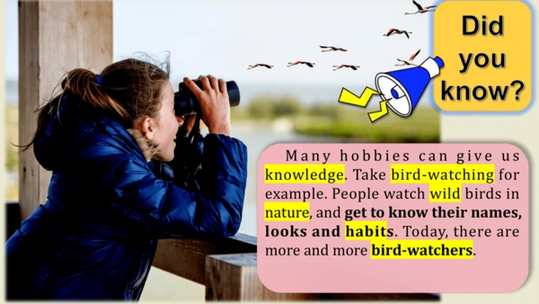 【优质公开课】Module2 More than fun Developing Ideas课件（含音