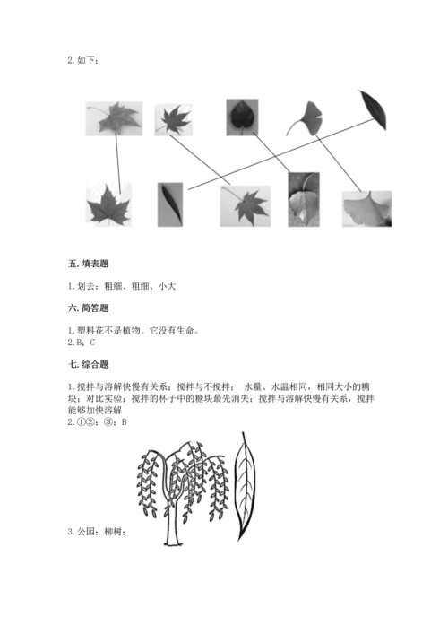 教科版科学一年级上册第一单元《植物》测试卷（word）.docx