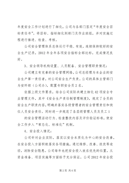 安全生产标准化自评报告 (2).docx