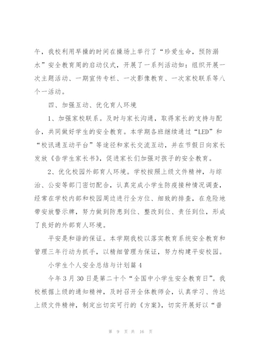 小学生个人安全总结与计划.docx