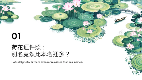 绿色简约插画中国风荷花科普介绍PPT模板