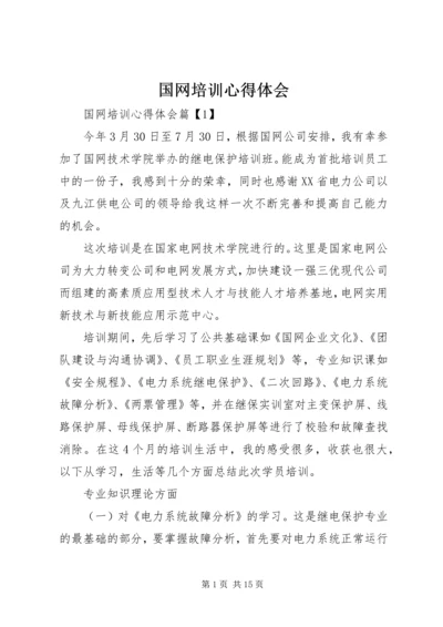 国网培训心得体会 (3).docx