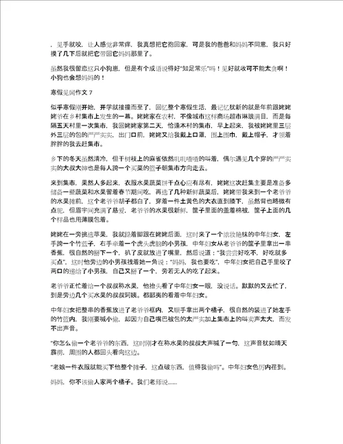 寒假见闻作文7篇