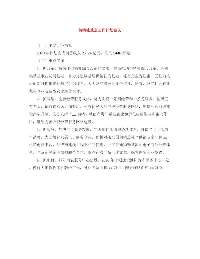 精编之供销社重点工作计划范文.docx