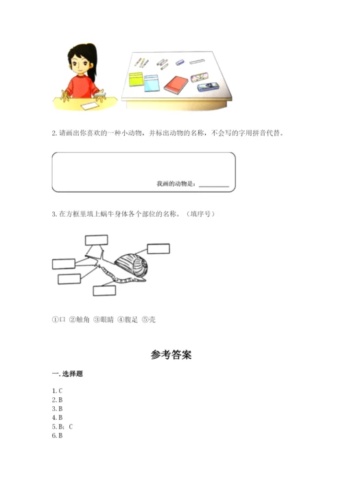 教科版一年级下册科学期末测试卷附答案（培优b卷）.docx