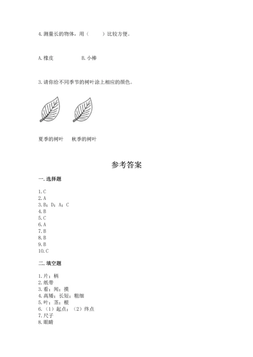 教科版一年级上册科学期末测试卷带下载答案.docx