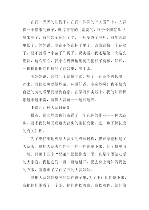 种大蒜观察日记.docx