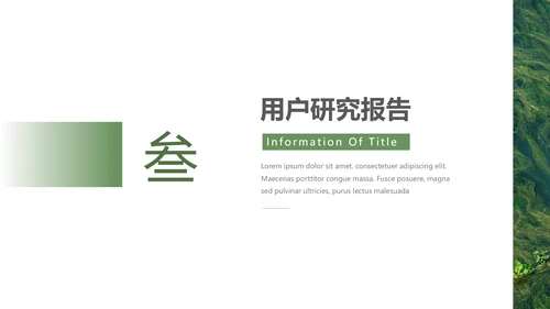绿色自然风品牌形象策划PPT模板