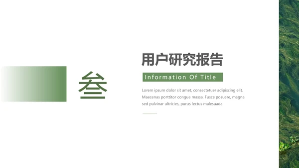 绿色自然风品牌形象策划PPT模板