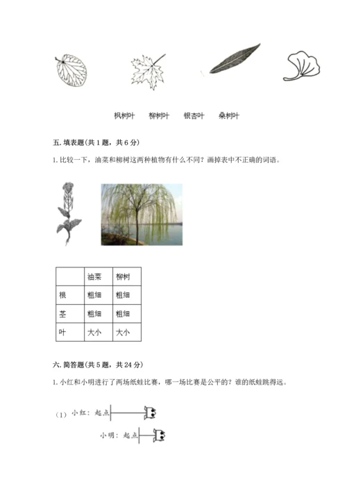 教科版一年级上册科学期末测试卷带下载答案.docx