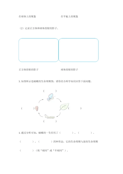 教科版小学科学三年级下册期末测试卷（预热题）.docx