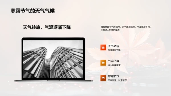 寒露节气商业解析