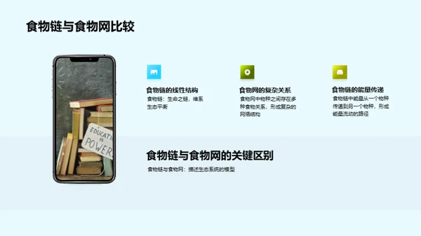 深度解析食物链