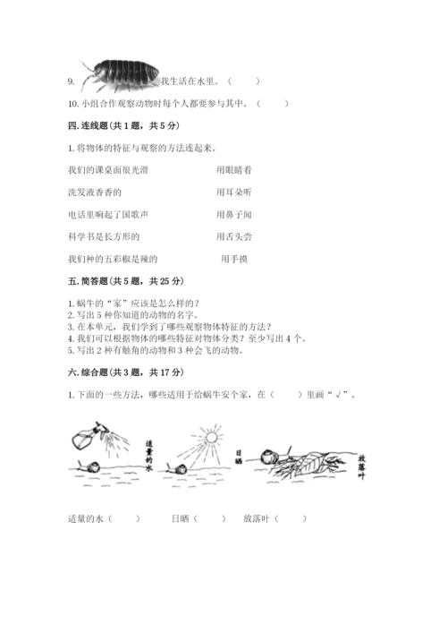 教科版一年级下册科学期末测试卷（培优）.docx