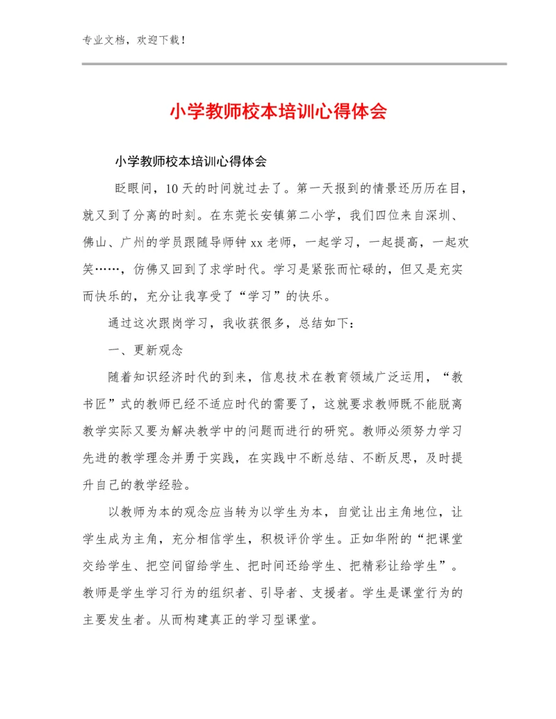 2024小学教师校本培训心得体会例文9篇文档合集.docx