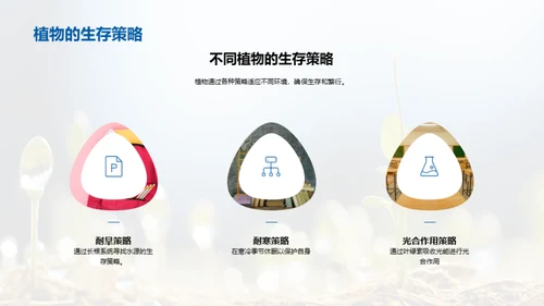探索植物的奥秘
