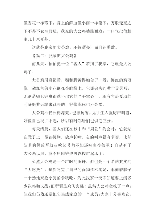 四年级作文大公鸡.docx