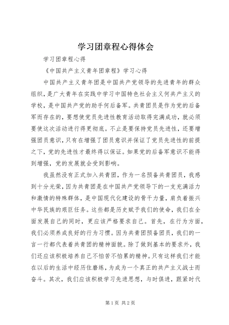学习团章程心得体会.docx