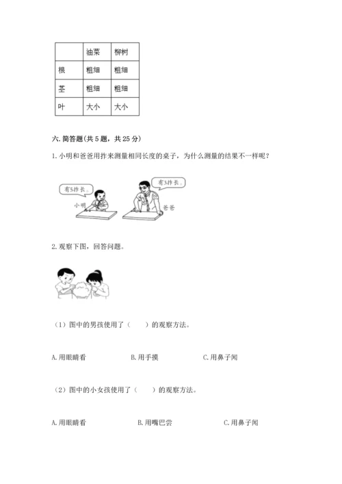 教科版一年级上册科学期末测试卷精品（基础题）.docx