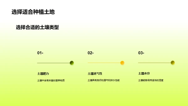 玉米种植手册