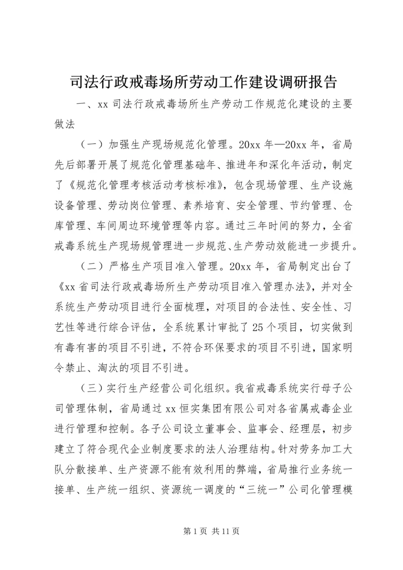 司法行政戒毒场所劳动工作建设调研报告.docx