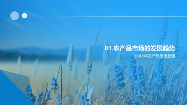 农产品销售策略盘点