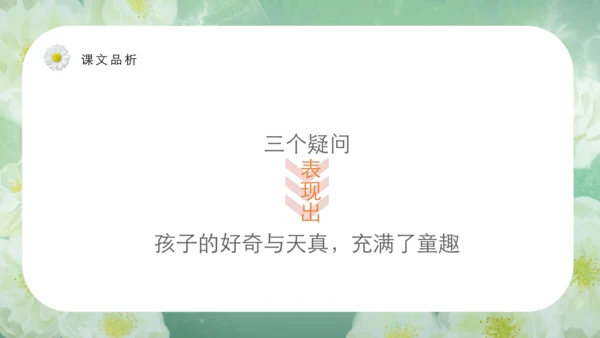 第15课《搭船的鸟》课件