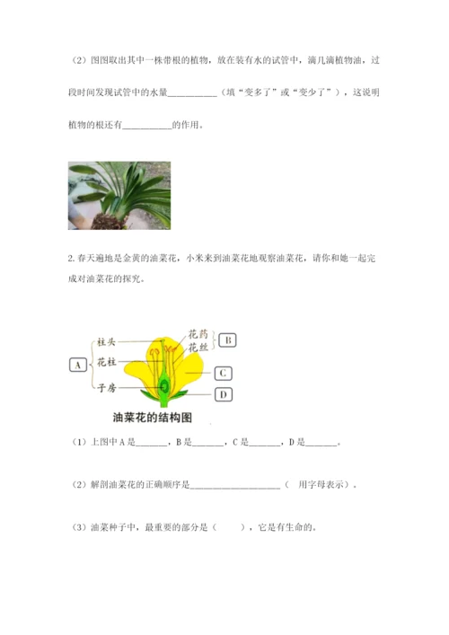 科学四年级下册第一单元《植物的生长变化》测试卷及参考答案【考试直接用】.docx