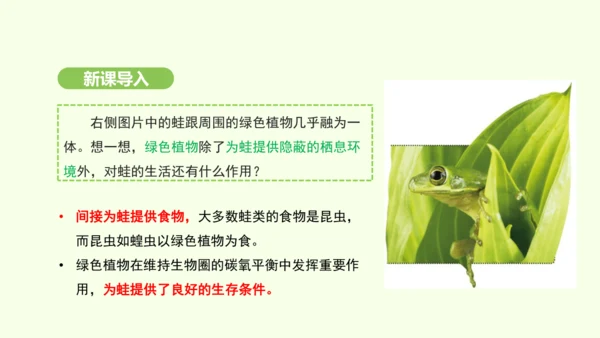 第三单元-第二章-第二节-光合作用-第1课时 绿叶在光下制造有机物课件-2024-2025学年七年级