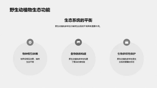 3D风其他行业教育活动PPT模板