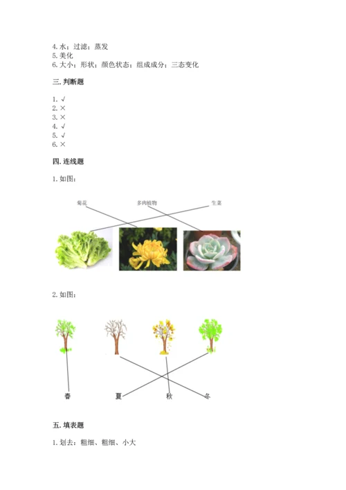 教科版科学一年级上册第一单元《植物》测试卷（夺冠系列）word版.docx